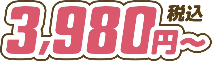 月々税込3,980円〜